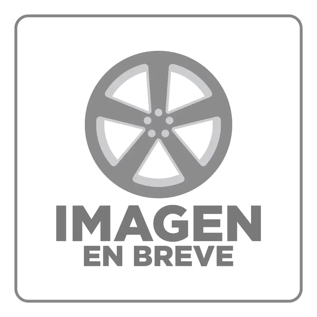 RIN 15X10 5-127 R1 SPORT HXX037A SILVER MACHINE FACE MACHINE LIP ET-44 CB81.6